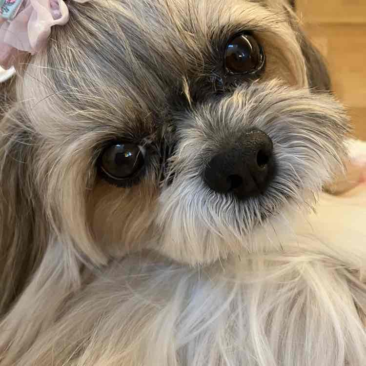 😊hitomi😊（╹◡╹）💕 post 1