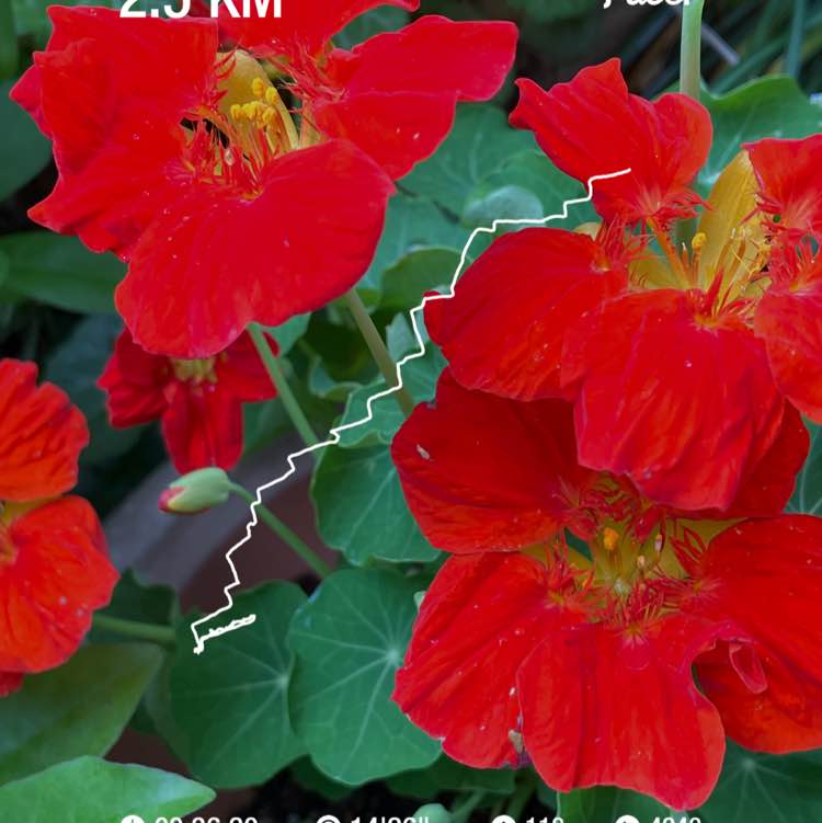 😊hitomi😊（╹◡╹）💕 post 1