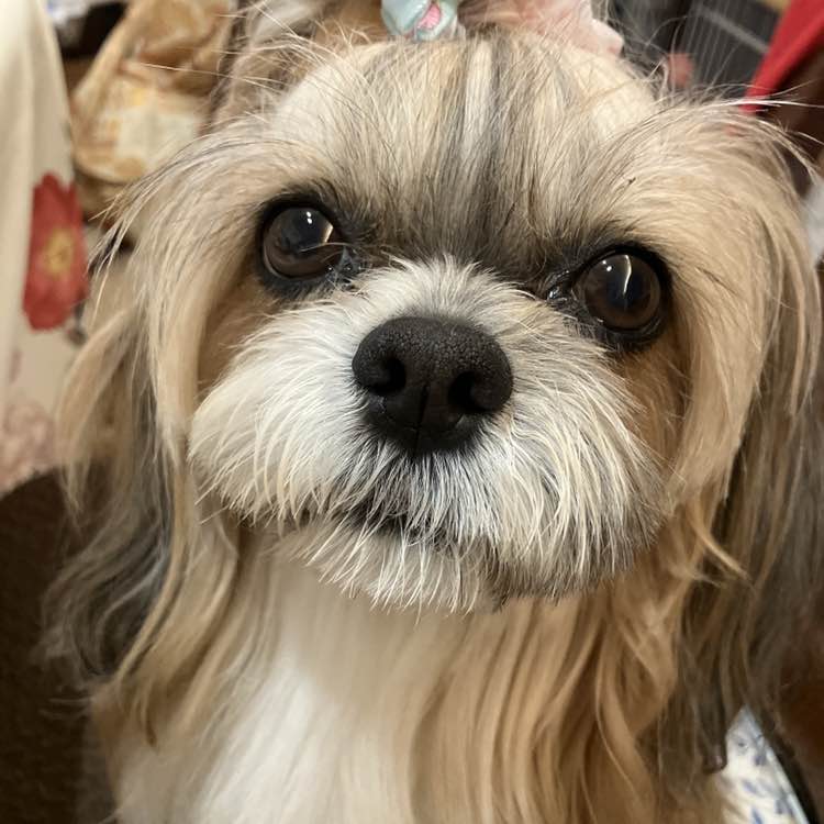 😊hitomi😊（╹◡╹）💕 post 3