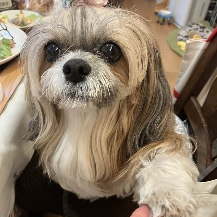 😊hitomi😊（╹◡╹）💕 post 3