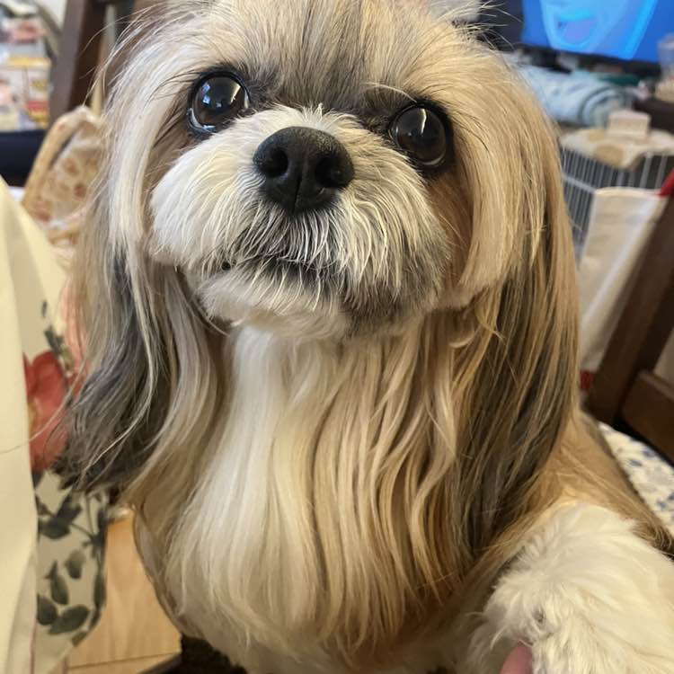 😊hitomi😊（╹◡╹）💕 post 2