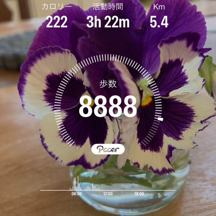 😊hitomi😊（╹◡╹）💕 post 1