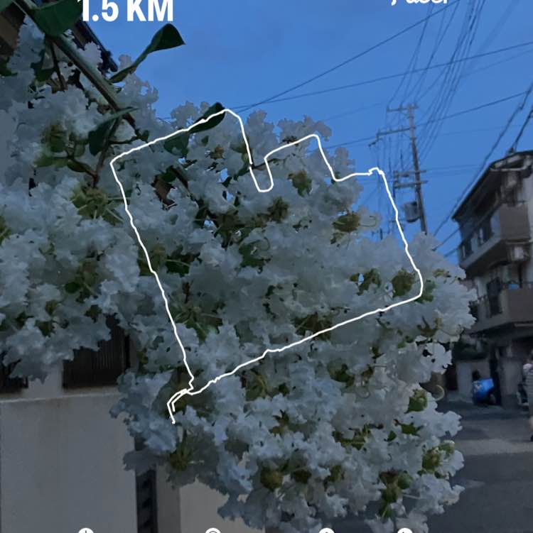 😊hitomi😊（╹◡╹）💕 post 1