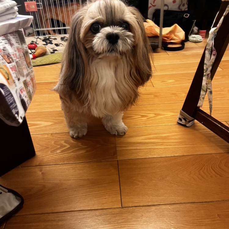 😊hitomi😊（╹◡╹）💕 post 2