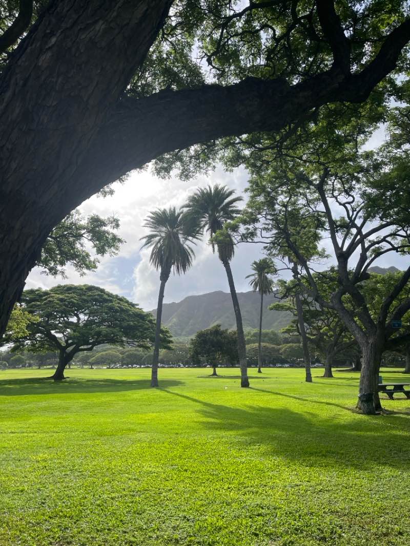 walking near me in Waiʻalae Beach Park in spring