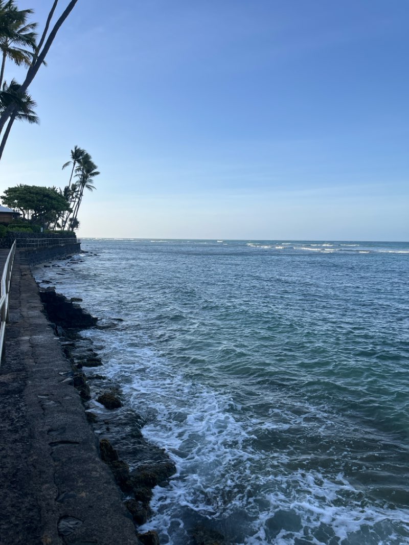 walking near me in Fort Ruger Mini Park in spring