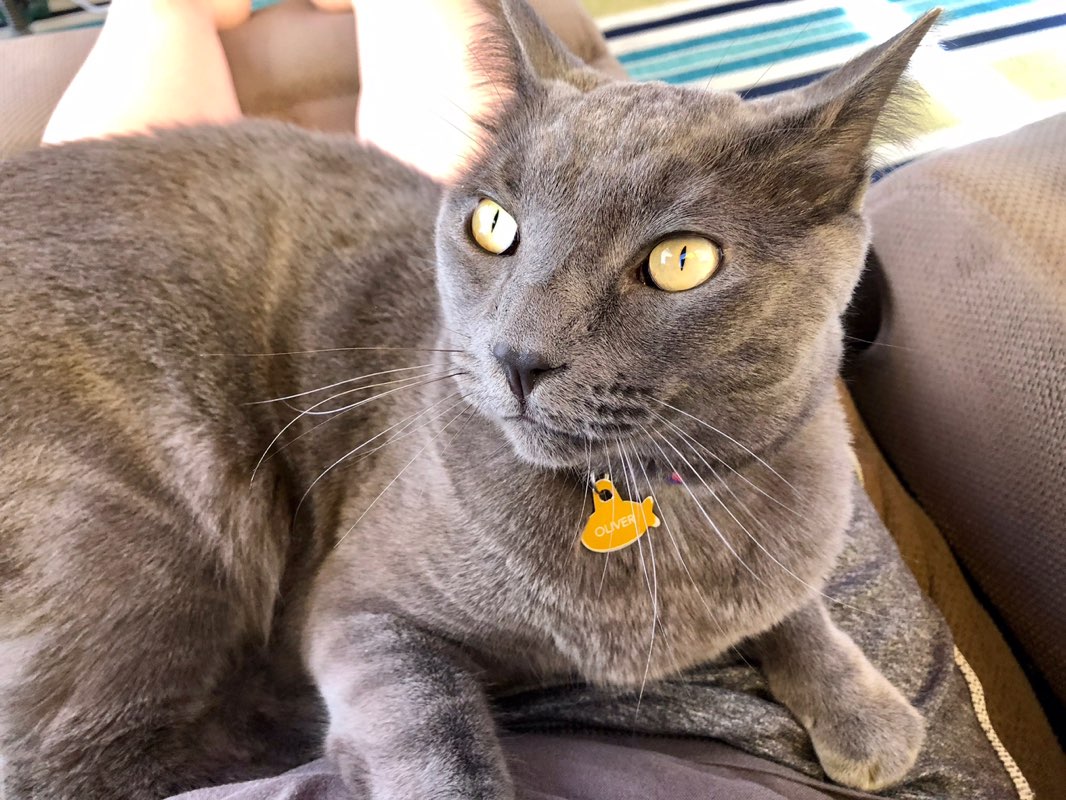 Debra profile