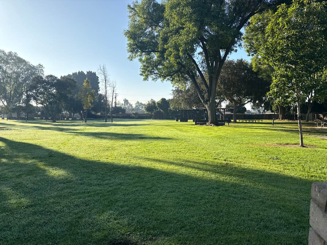 walking near me in Neff Park in winter