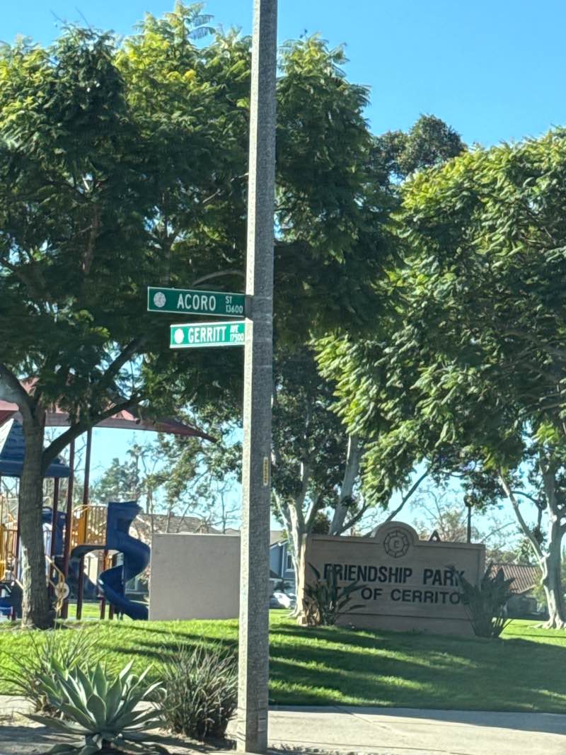walking near me in Friendship Park in winter