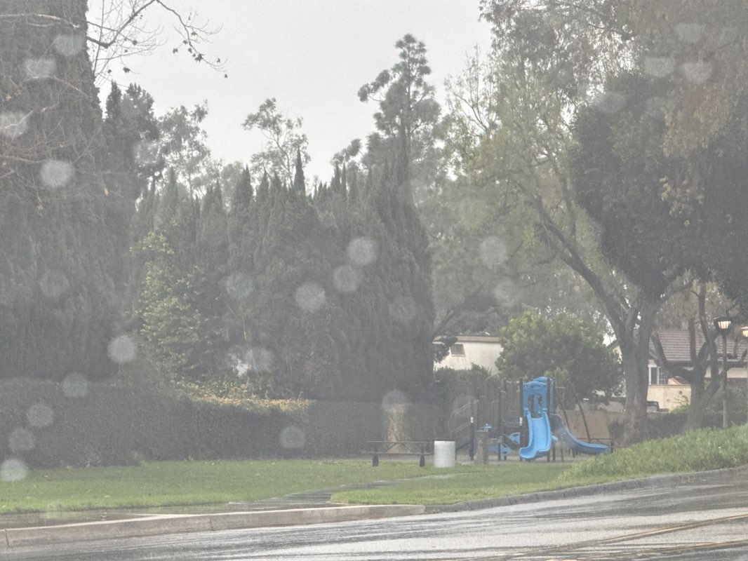 walking near me in Ecology Park in winter