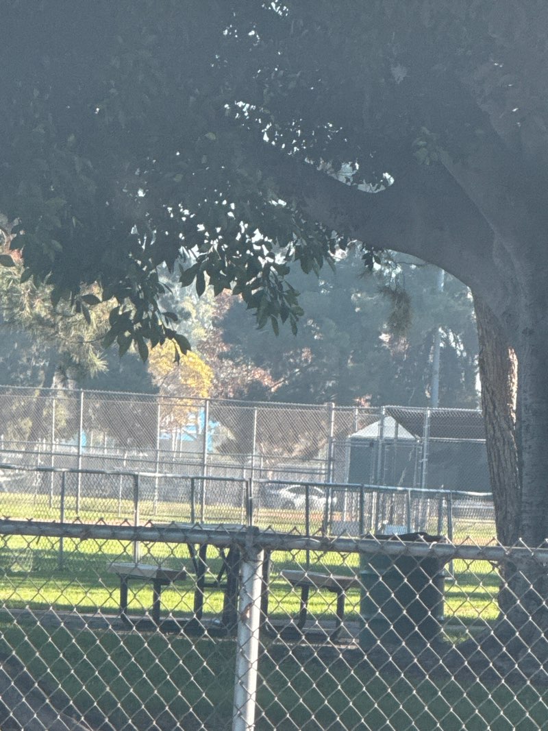 walking near me in Bellis Park in winter