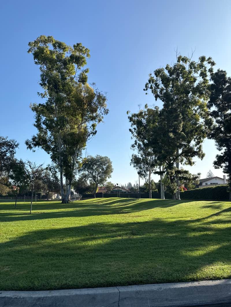 walking near me in Cerritos Park East in winter