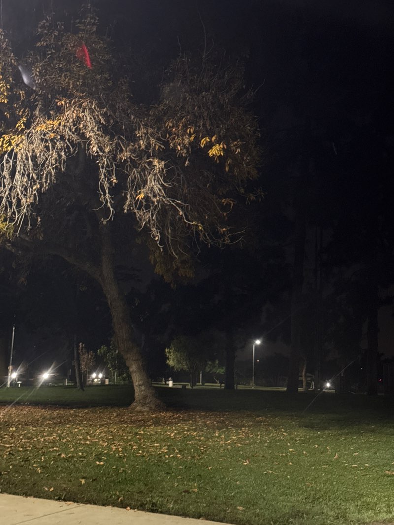 walking near me in Adventure Park in winter