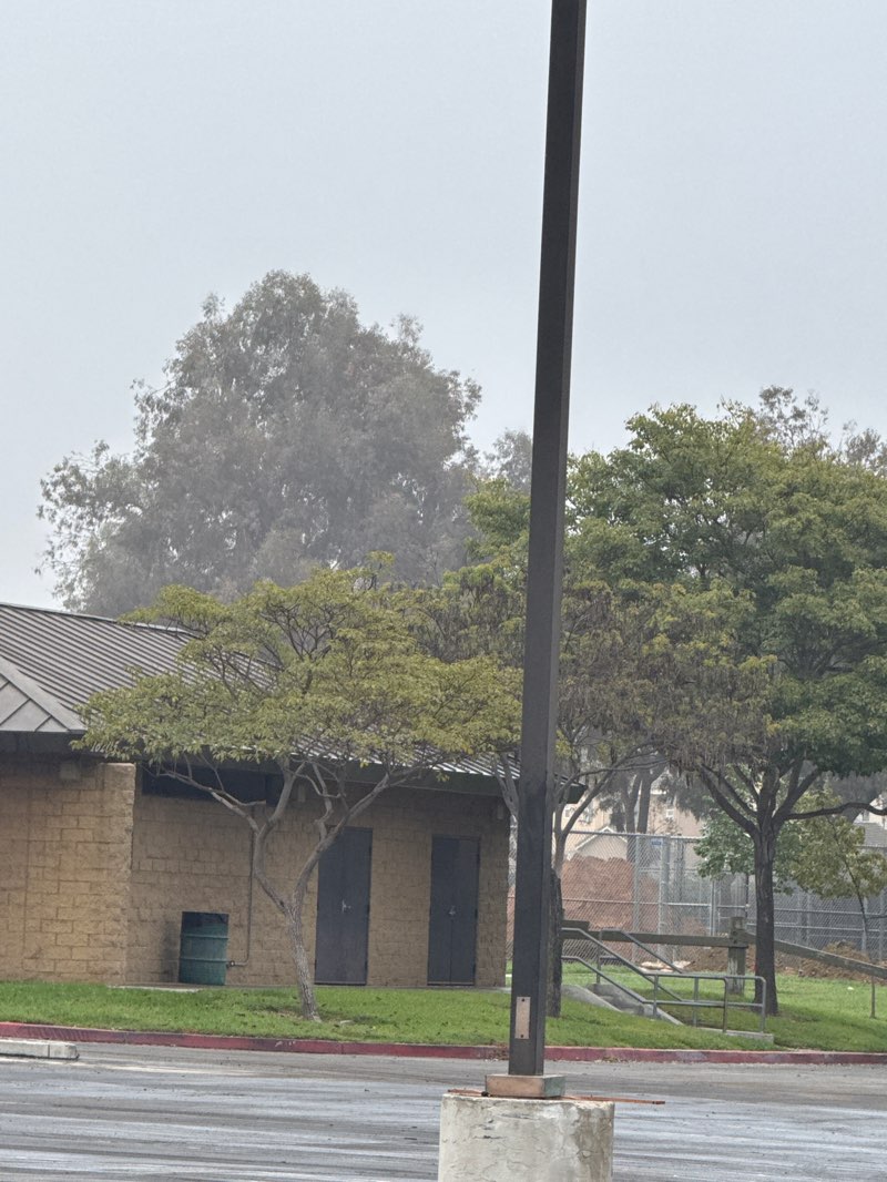 walking near me in Behringer Park in winter