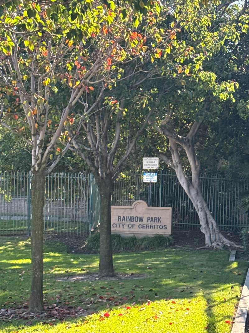 walking near me in Rainbow Park in winter