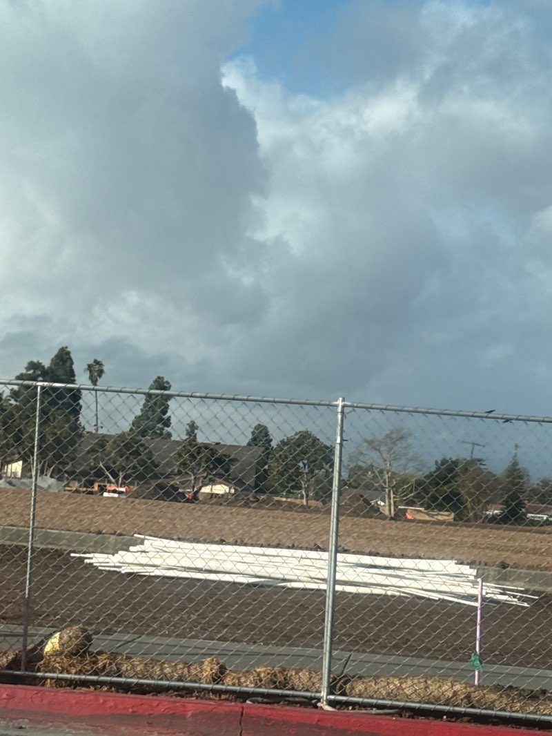 walking near me in Parnell Park in winter