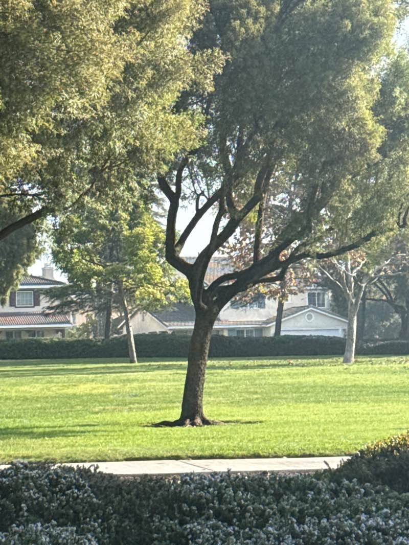 walking near me in Cedar Creek Park in winter