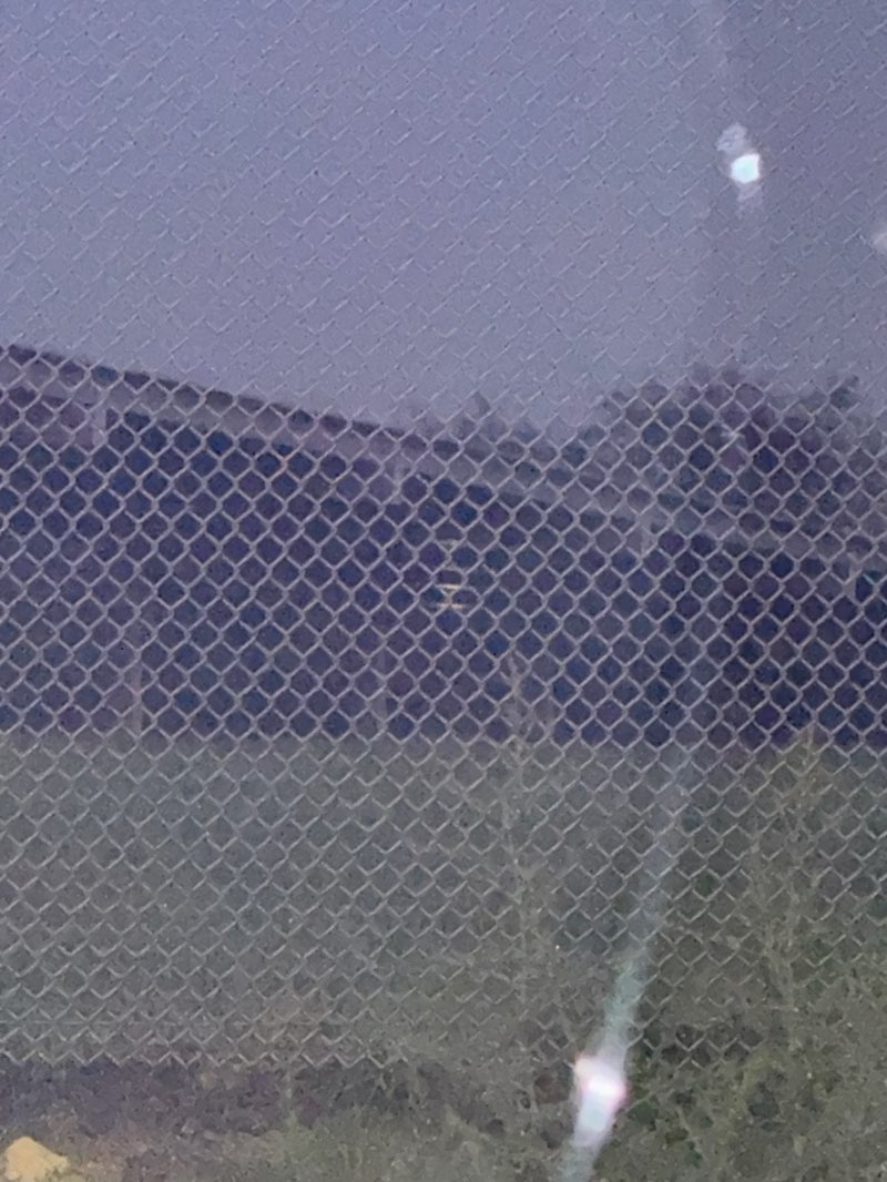 walking near me in Laguna Road School Park in winter