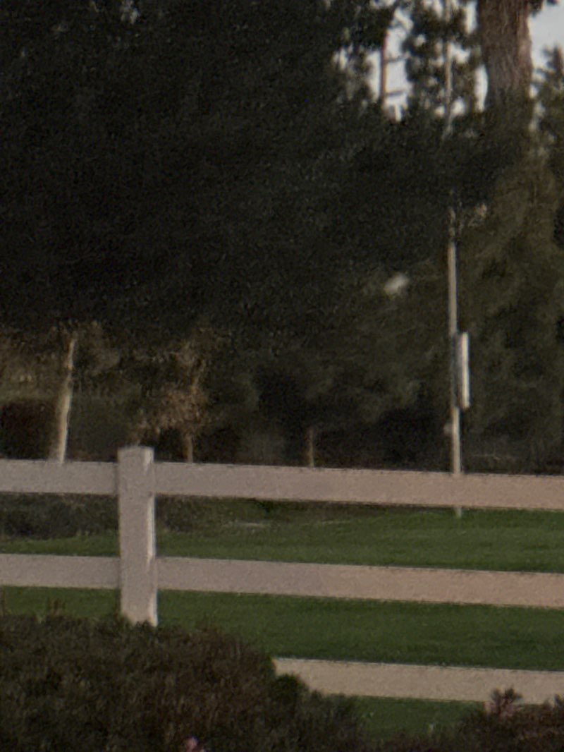 walking near me in Bastanchury Park in winter