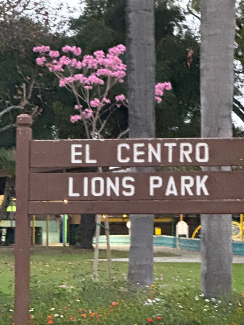 walking near me in El Centro Park in winter
