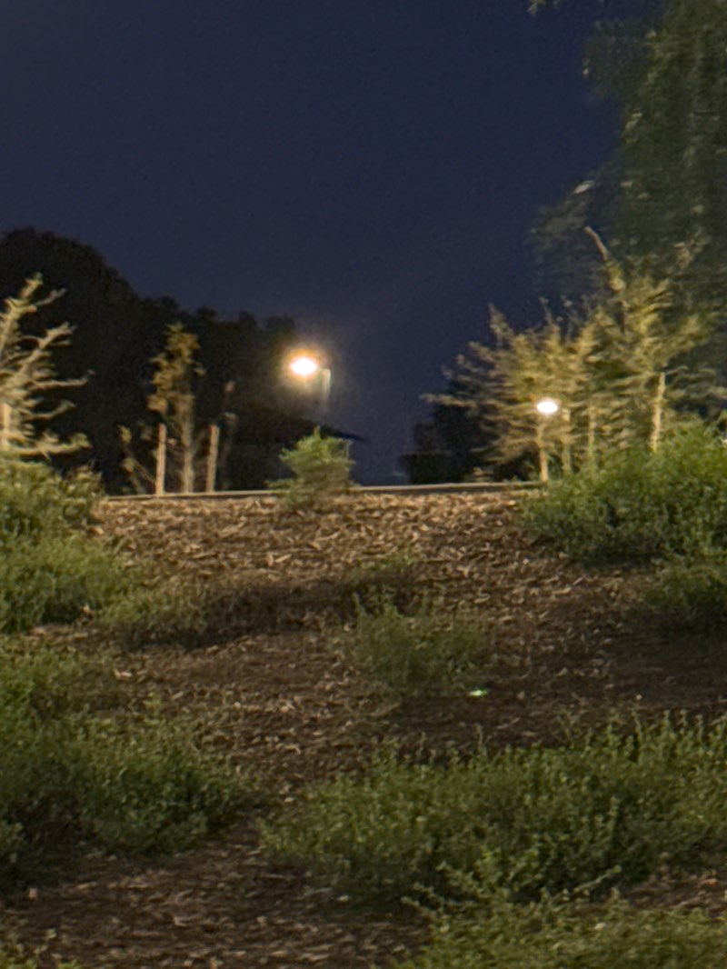 walking near me in Vista Grande Park in winter