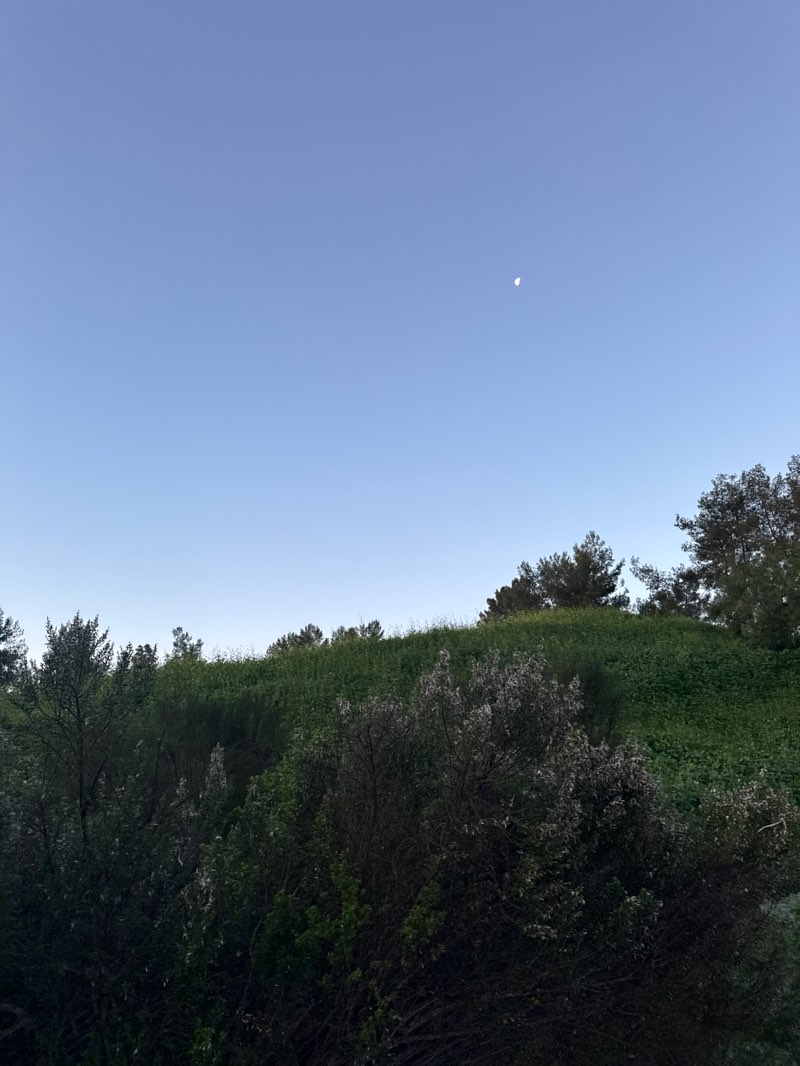 walking near me in Ralph B. Clark Regional Park in winter