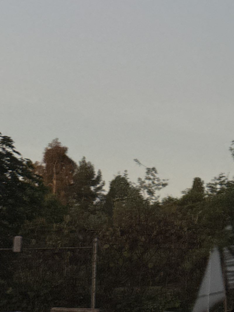 walking near me in Robert E. Ward Nature Preserve in winter