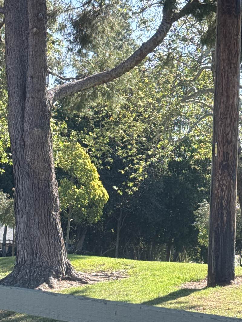 walking near me in Windermere Park in spring