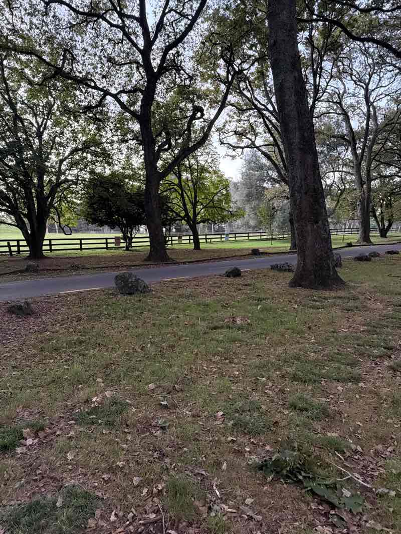 walking near me in Cornwall Park in autumn