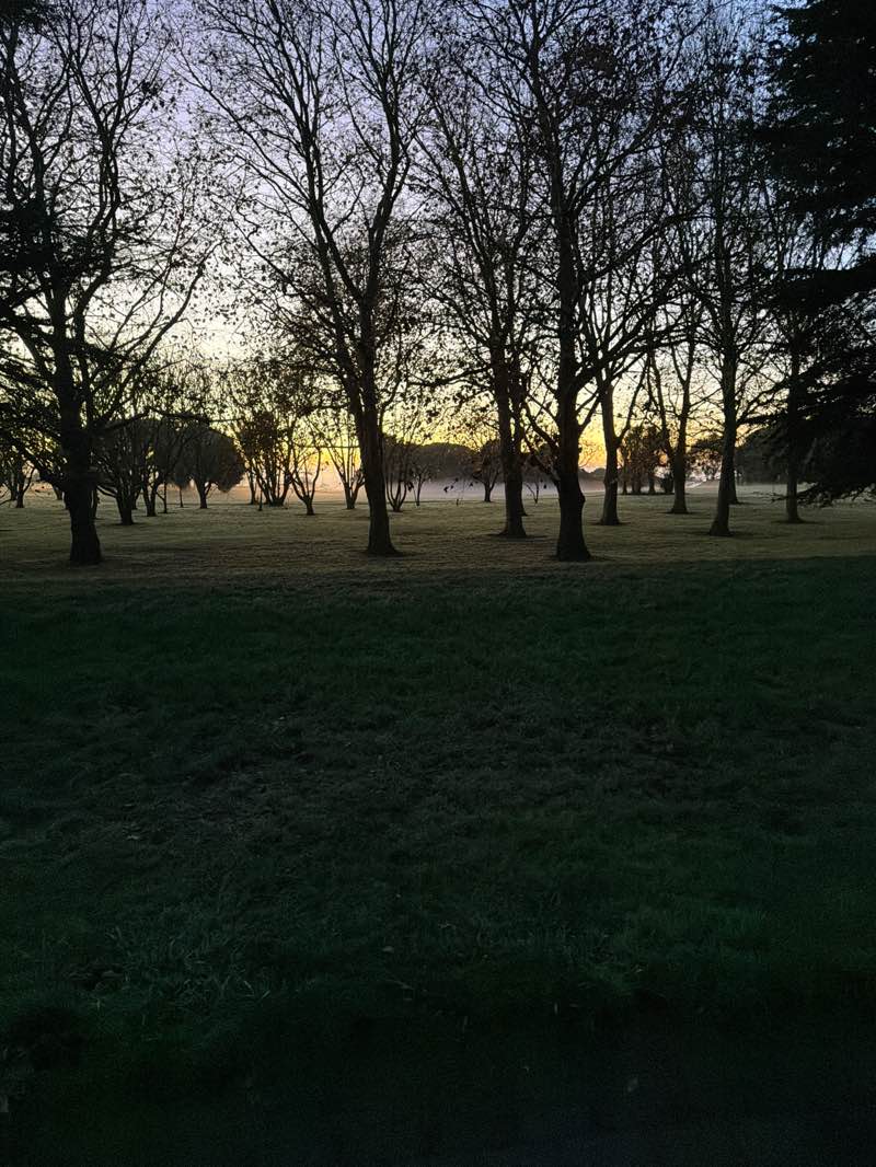 walking near me in Cornwall Park in winter