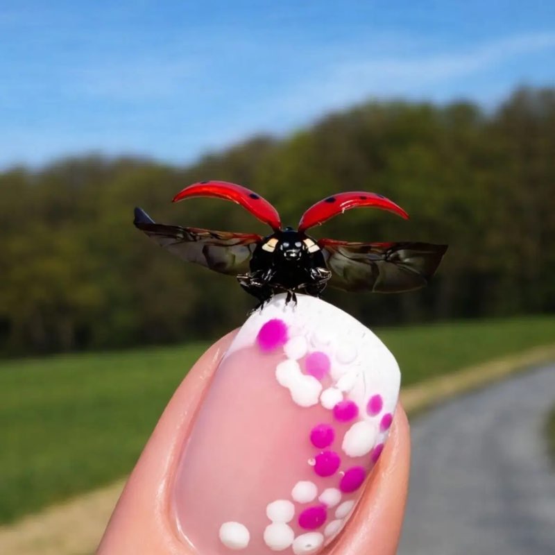 Just running for Snacks 🍪🍟🥨 SportySparkleUnicorn post image