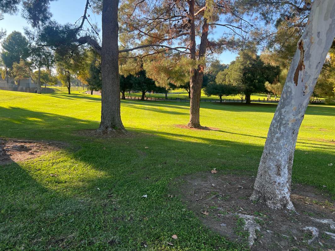 walking near me in Bradford Park in autumn