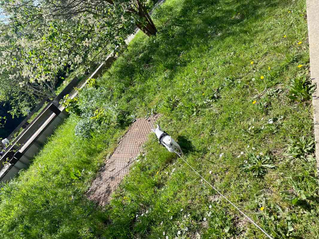 walking near me in La Presqu'Île Rollet in winter