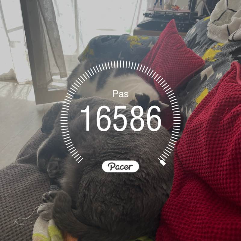 Sebastien 🏳️‍🌈 post 1