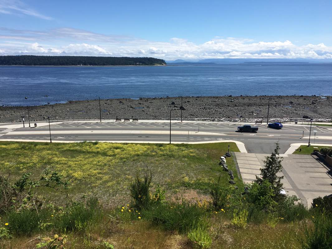 walking near me in Willow Point Park in winter