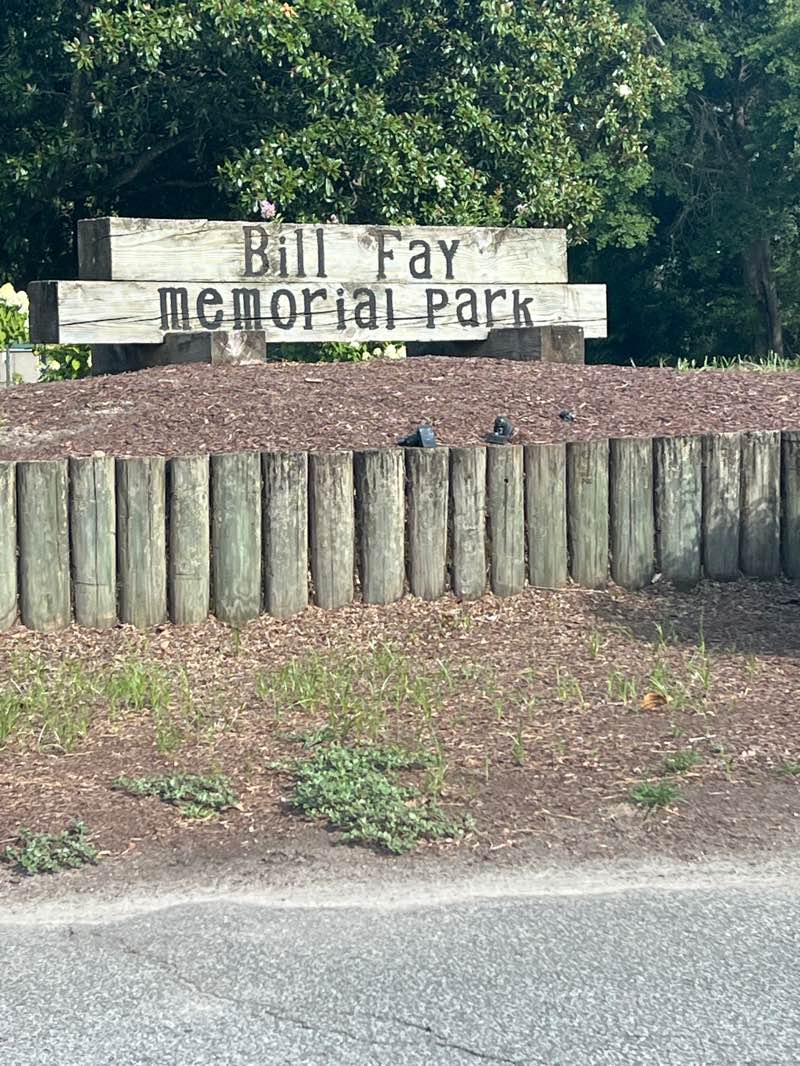 walking near me in Bill Fay Memorial Park in summer