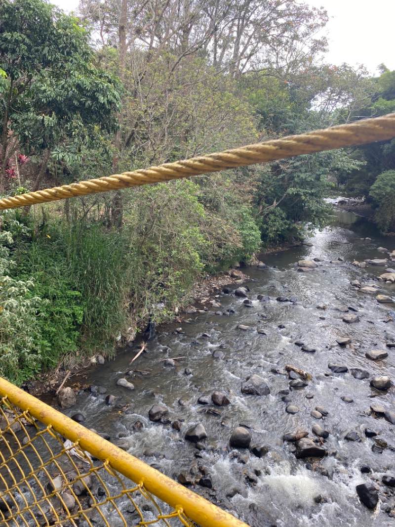 walking near me in Parque Central de Curridabat in winter