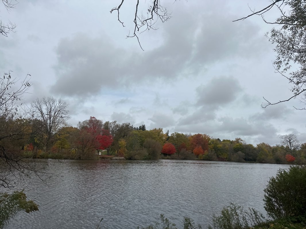 walking near me in Lakeside Drive Parkland in autumn