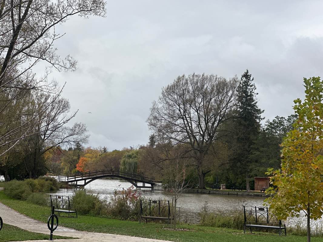 walking near me in North Shore Parkland in autumn