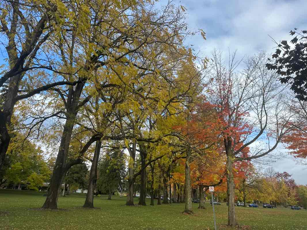 walking near me in Upper Queen's Park in autumn