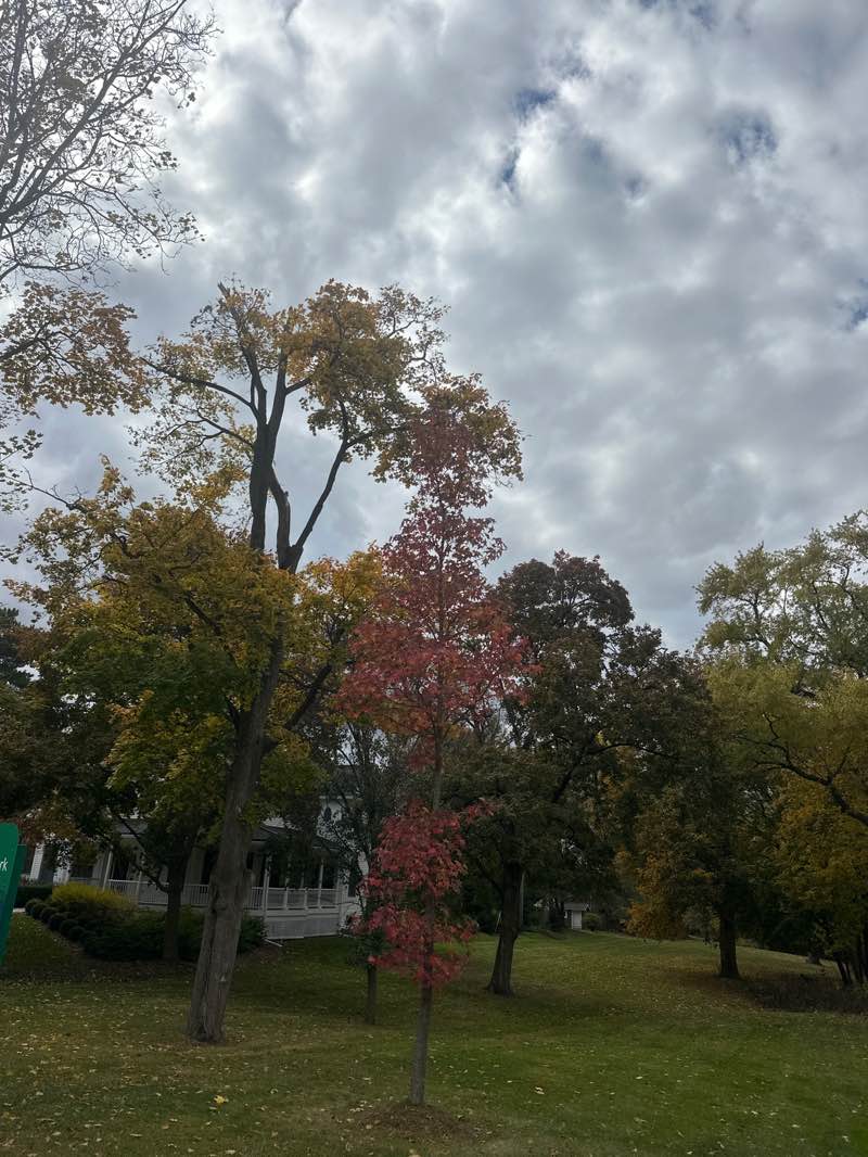 walking near me in Linn-Smith Park in autumn