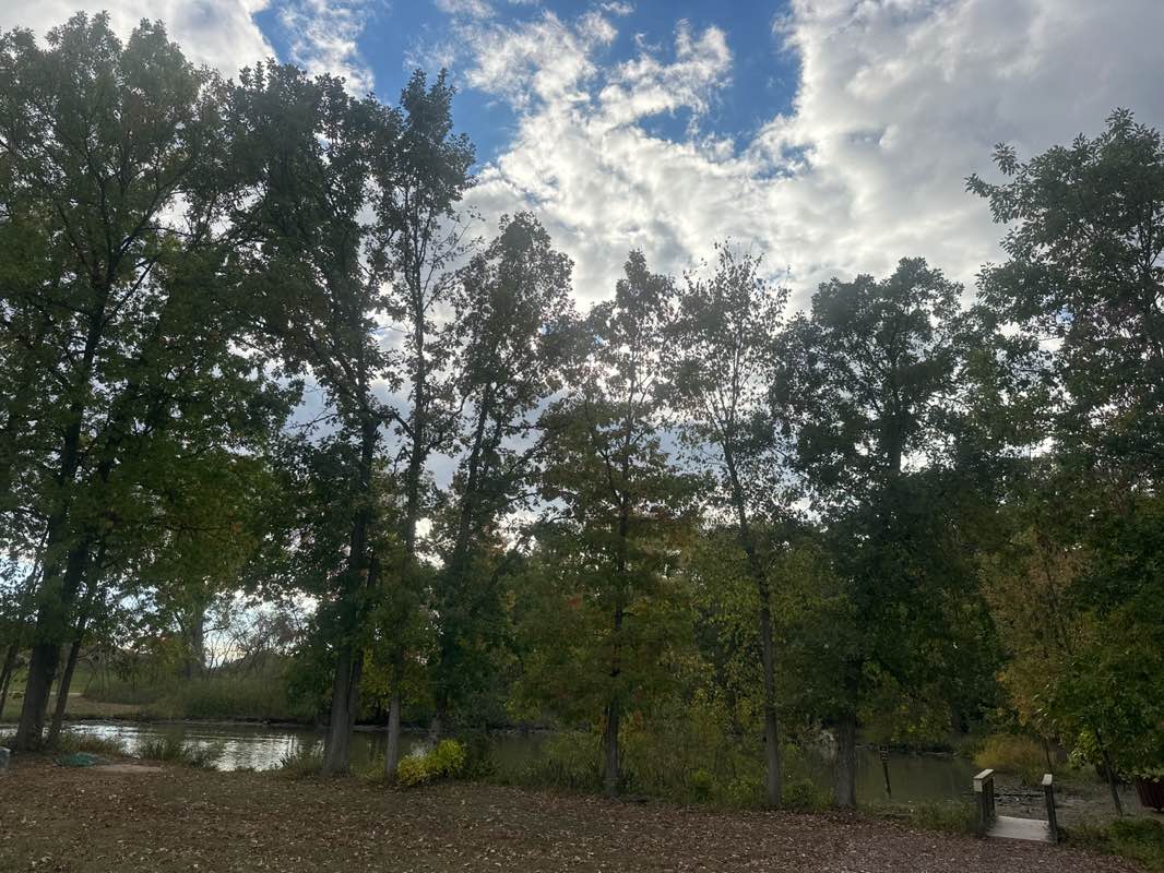 walking near me in Beverly Park in autumn