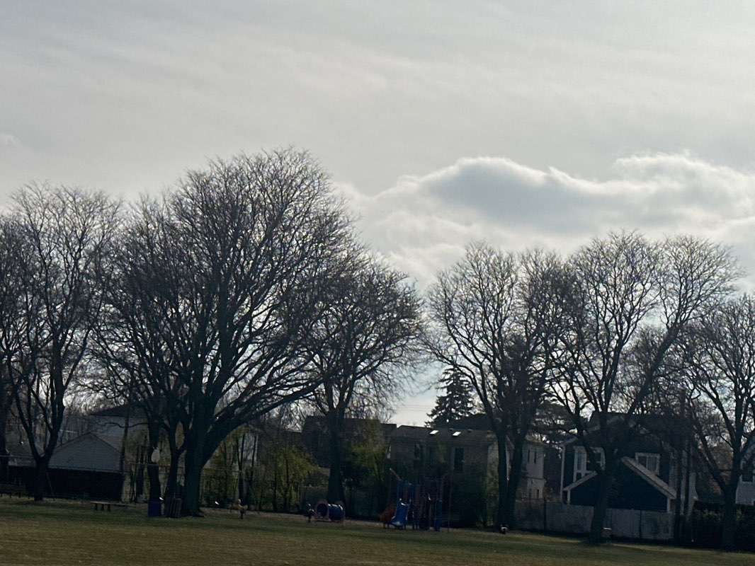 walking near me in Saint James Park in autumn