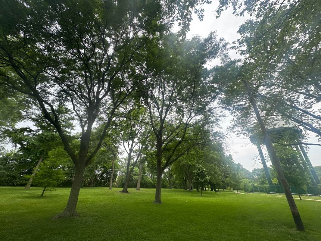walking near me in Derby Well Site in summer