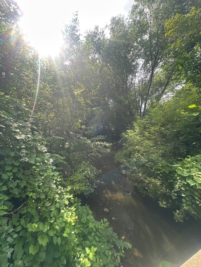 walking near me in Redding Well Site in summer