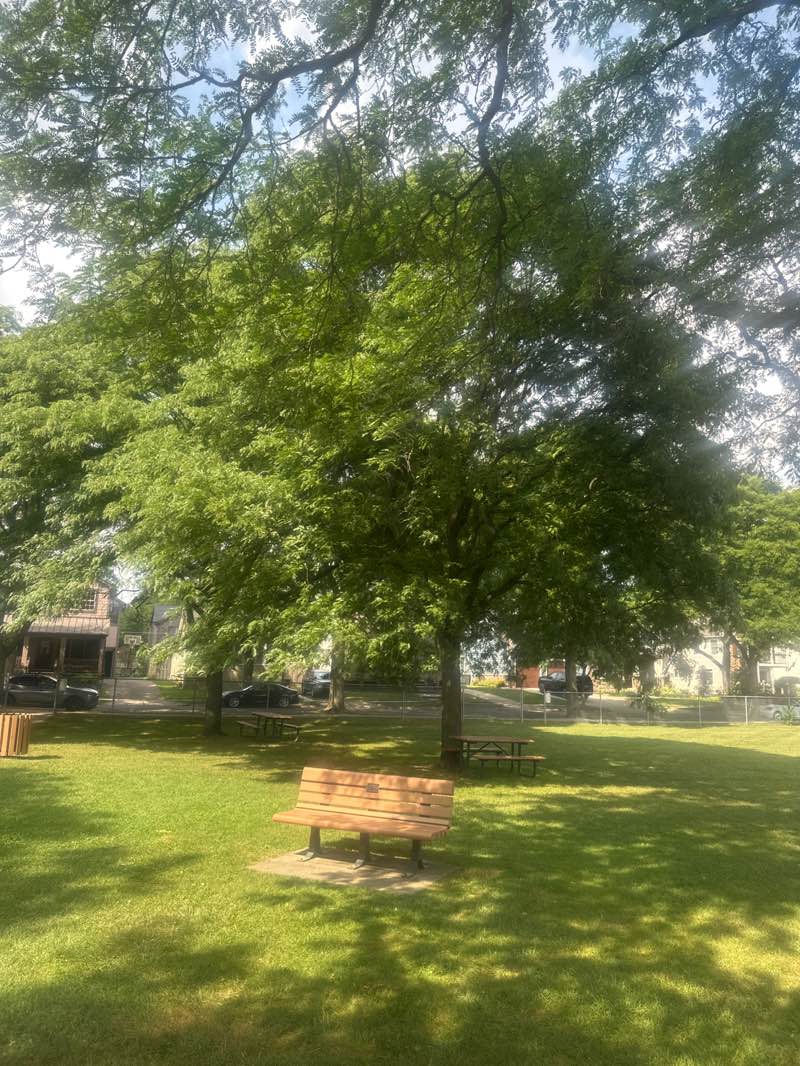 walking near me in Howarth Park in autumn