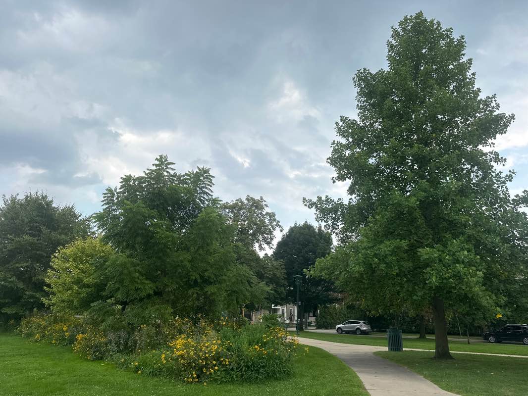 walking near me in Barnum Park in autumn