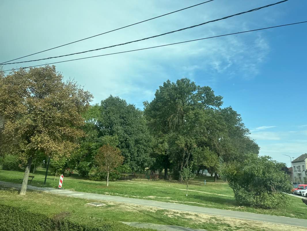 walking near me in Park kraljice Katarine Kosača in autumn
