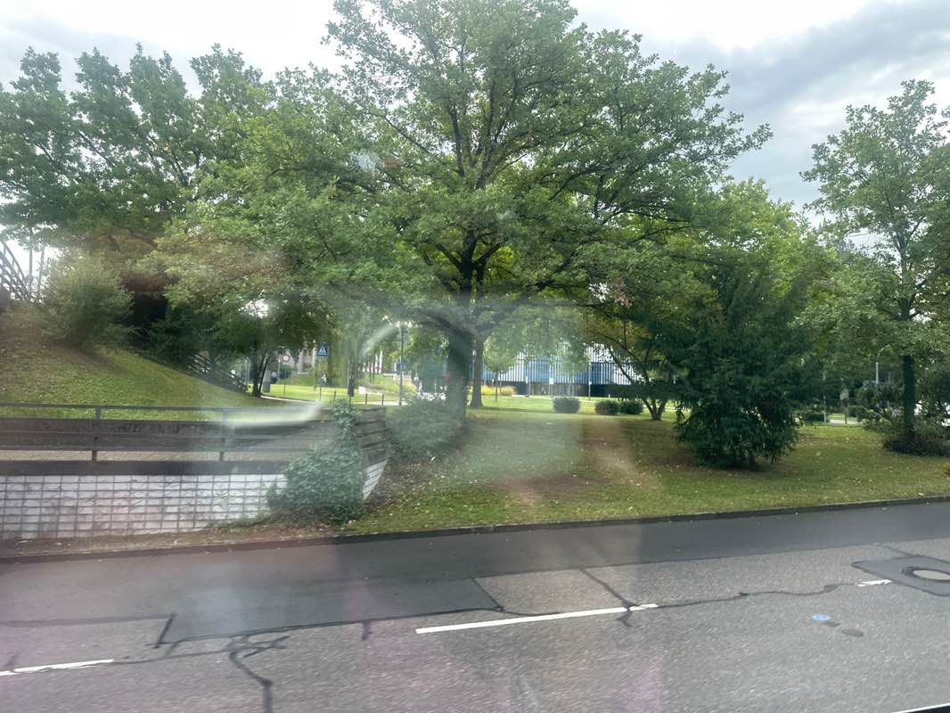 walking near me in Schlosspark in autumn