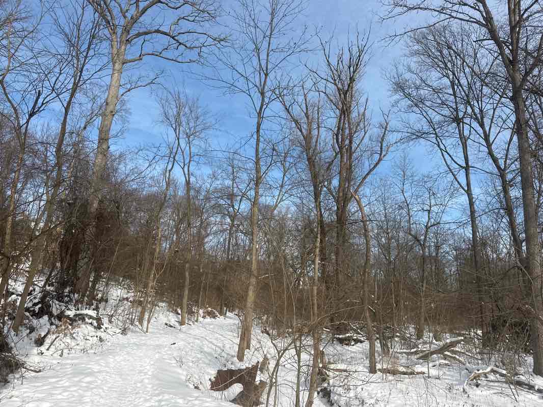 walking near me in Booth Park in winter
